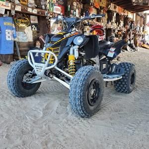 Meet your Posher, Henry